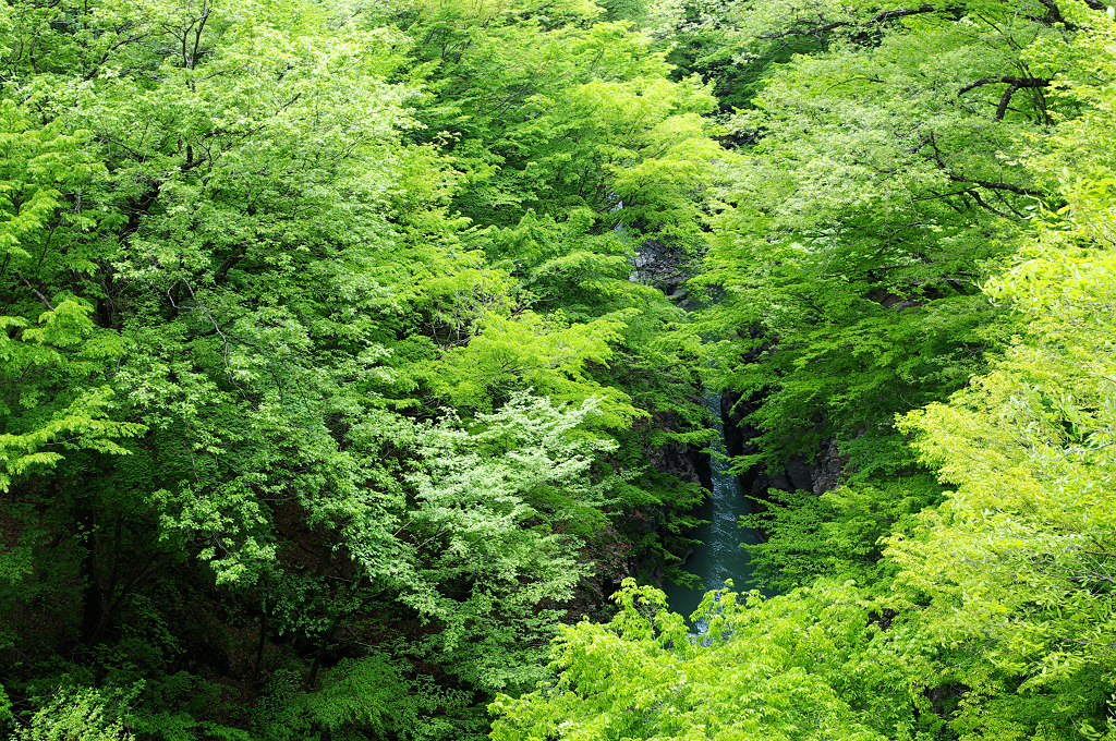 吾妻緑景