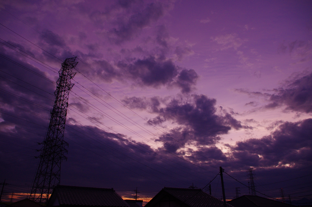 玄関写真#20110621