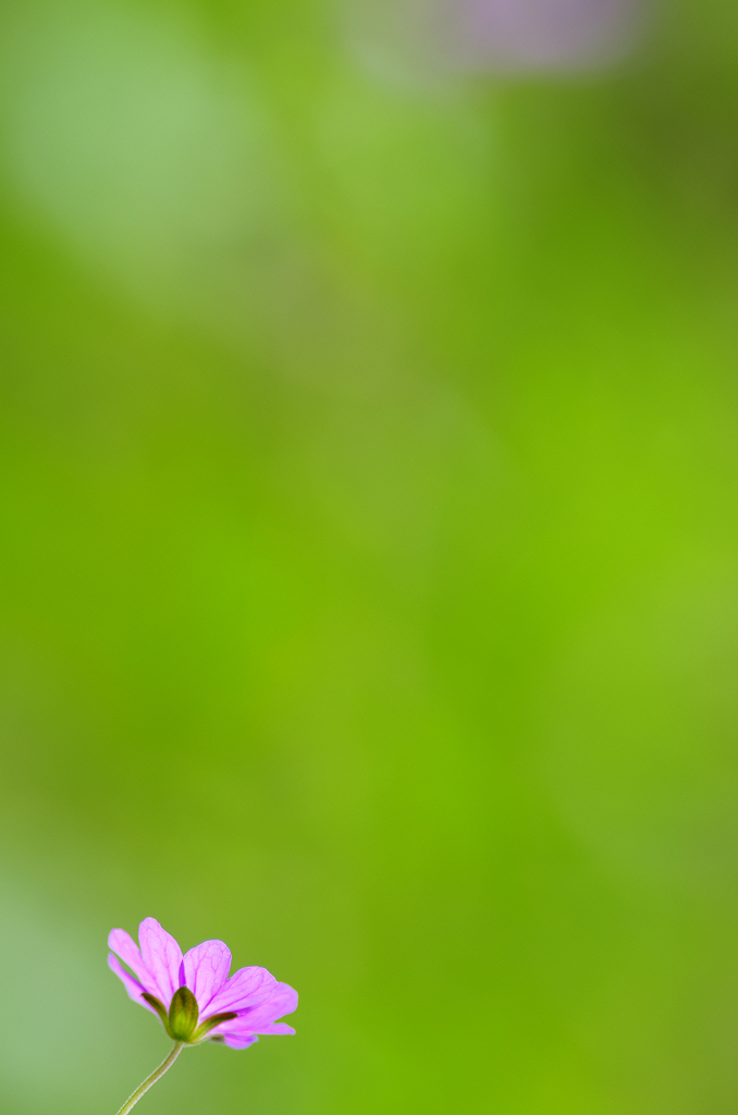greenGreengreen