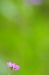 greenGreengreen