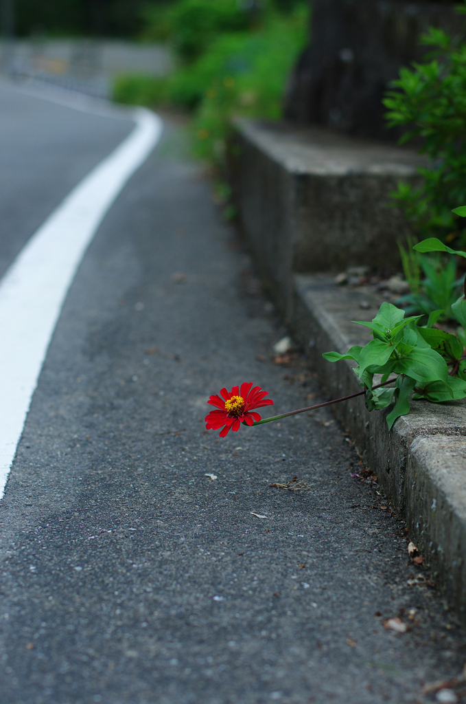 あまり伸びては・・・