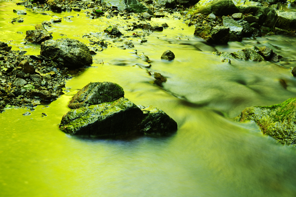 GREEN SCENERY 