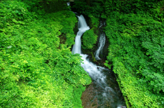 緑蒼き箱島湧水