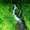緑蒼き箱島湧水