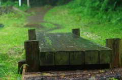 木道と雨
