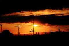 今日の夕日