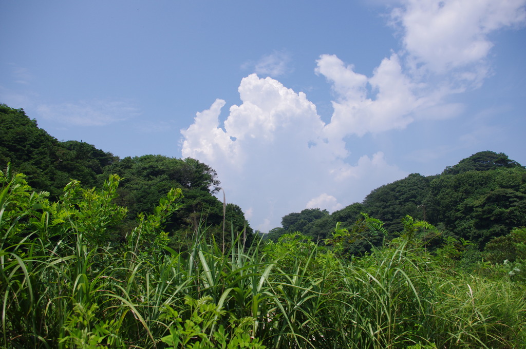雲