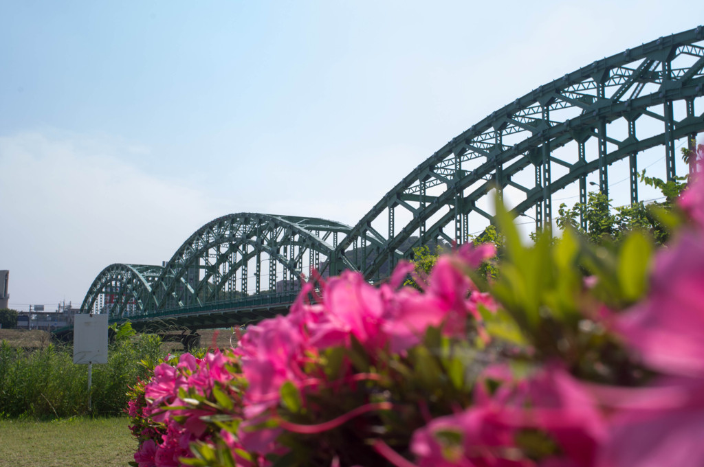 渡良瀬川の橋