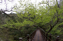 吊り橋