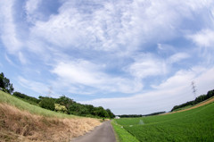 田舎の風景