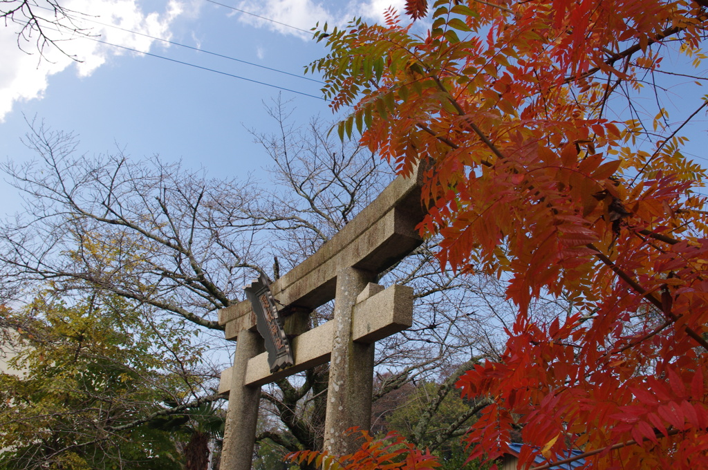 神社