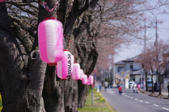 風景