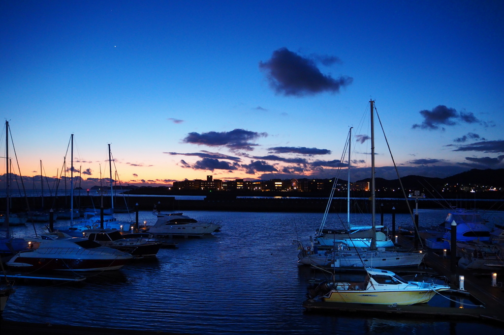 Blue Marina 
