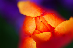 color