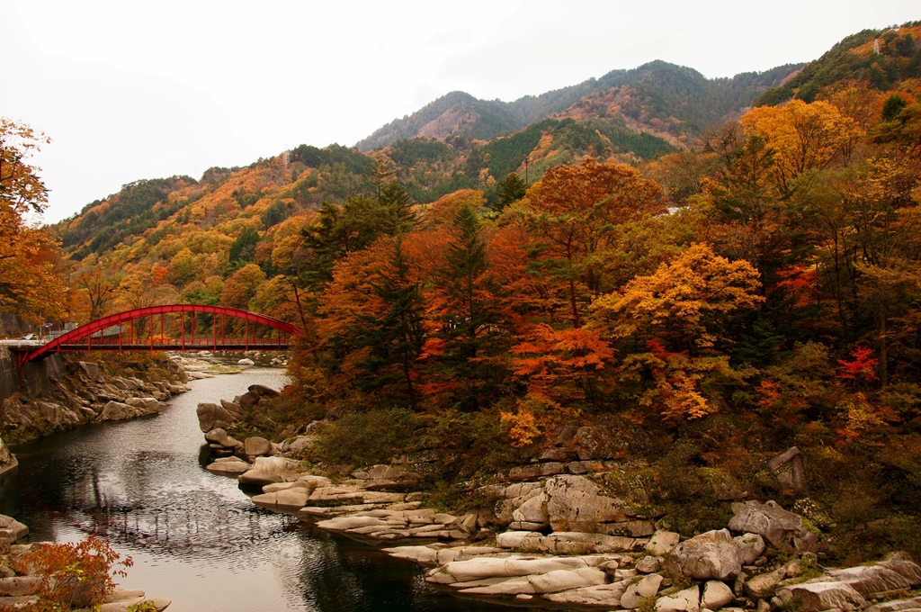赤い橋と紅葉