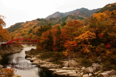 赤い橋と紅葉
