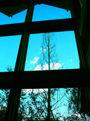 冬の空