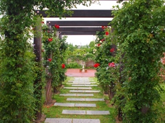 Flower Arch