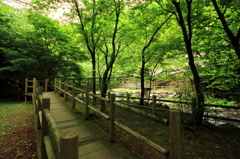 橋