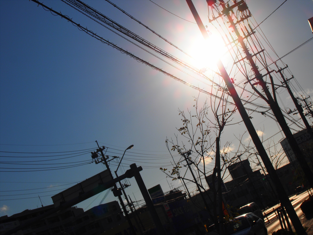朝