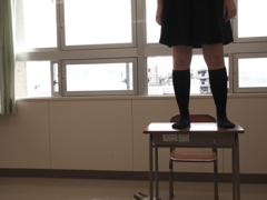 机