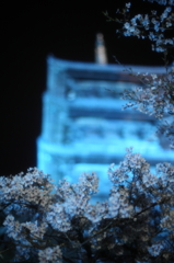 吉備路五重塔と夜桜