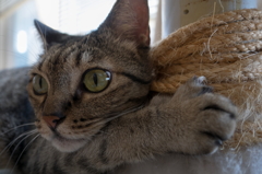 P1000254＋LR