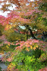 閑谷学校にて