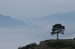 竹田城の雲海