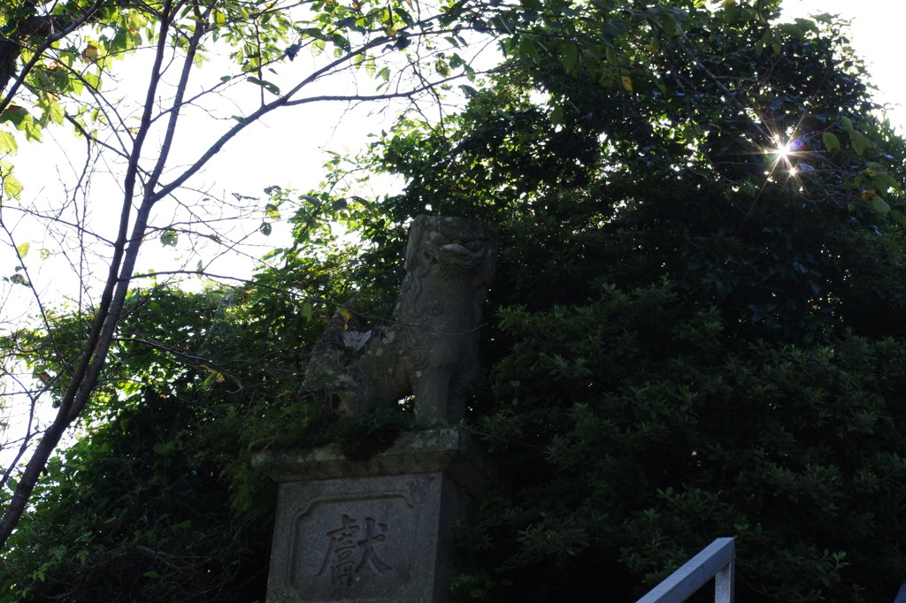 見られてる…。