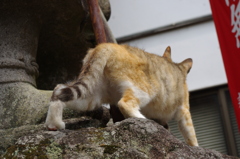 よじよじ。