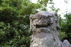 阿。