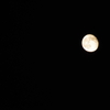 021