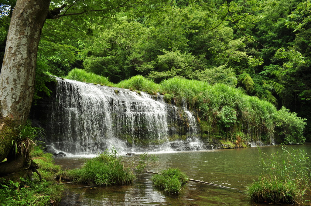 涼やかな風のなかで・・・