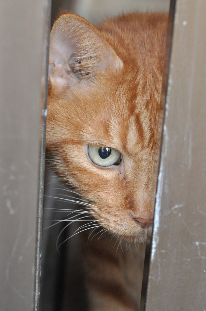 愛しい子・・・