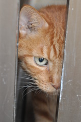 愛しい子・・・