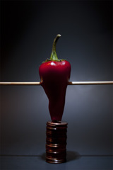 photo class assignment 1