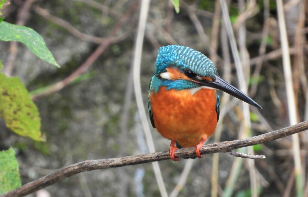 とにかく小さくて