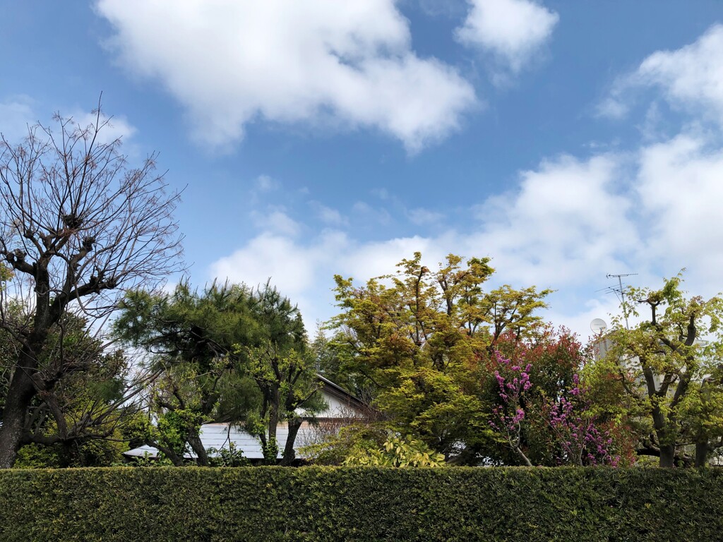 景色はこんなに美しいのに