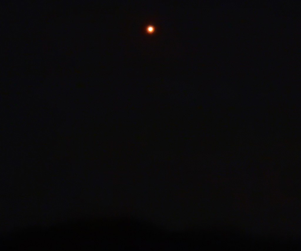 火星日和