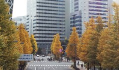 アップで