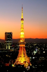 東京タワー 東京タワー