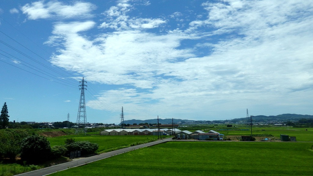 夏の田園