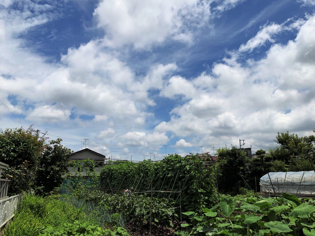 大崩れの予感