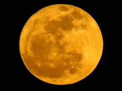 yellow moon