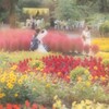 カメラママだらけ