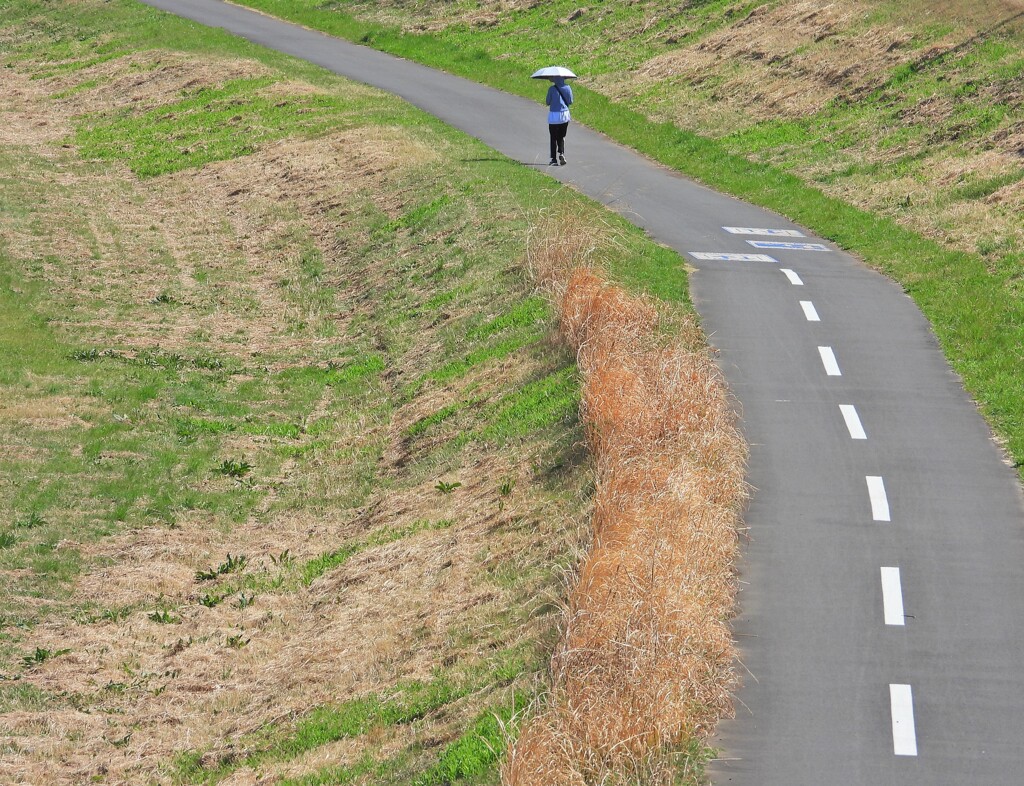多摩川遊歩道