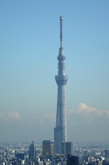 東京のシンボル 東京のシンボル