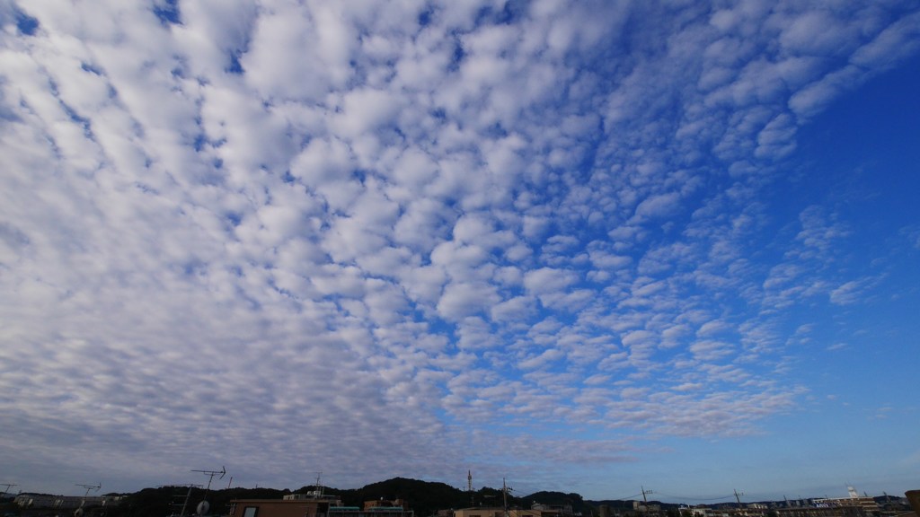 秋空