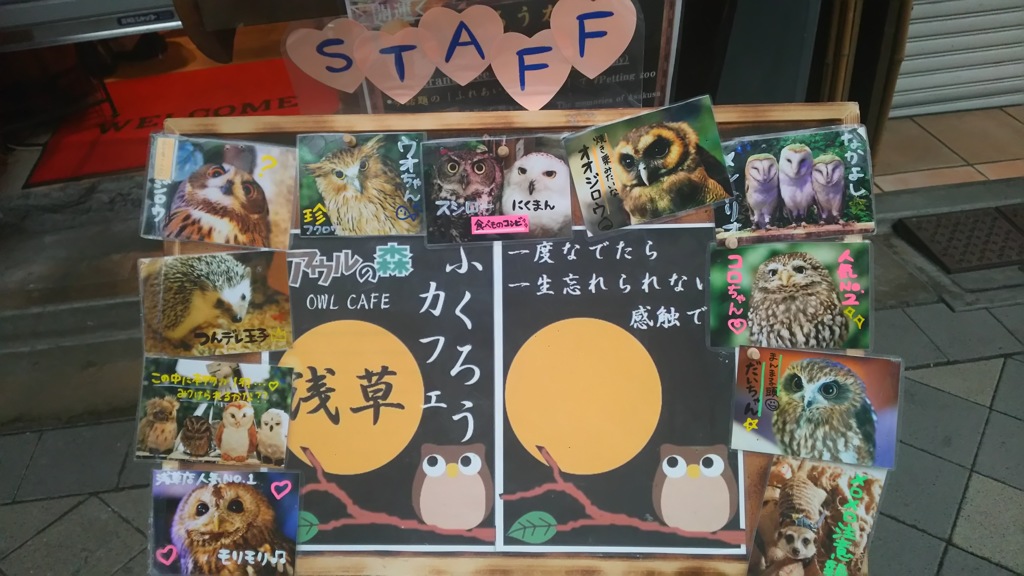 アウルの森